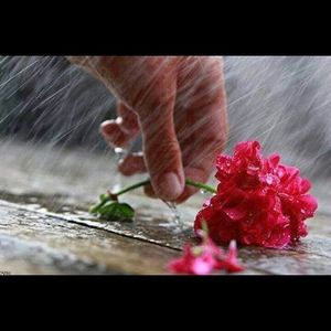 Meet your Posher, Misty